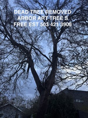 Arbor Art Tree Service