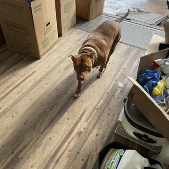 Fighting Chance Moving - Boss coming to check on how things were going - Movers Near Me Fighting Chance Moving - Boss coming to check on how things were going - Movers Near Me
