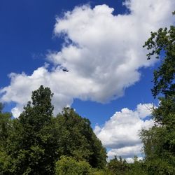 Carmody  park