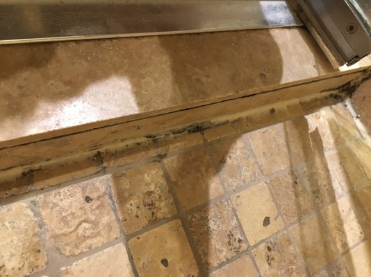 Hôtel Brossard by null