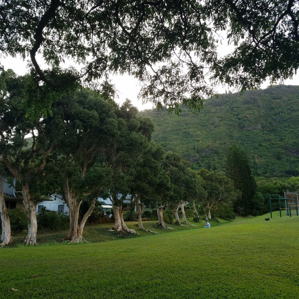 Manoa Valley District Park - Parks Near Me - Honolulu, Hawaii Manoa Valley District Park - Parks Near Me - Honolulu, Hawaii