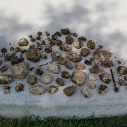 My haul from digging in the front yard in limited spots.