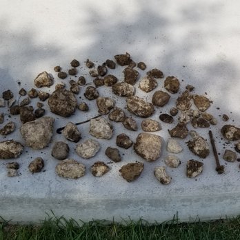 Saint Aubyn Homes - My haul from digging in the front yard in limited spots. - Real Estate Services Near Me - Colorado Springs, Colorado