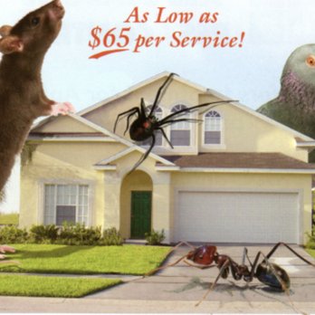 Ron's All Seasons Pest Control - Pest Control Near Me - Stockton, California Ron's All Seasons Pest Control - Pest Control Near Me - Stockton, California