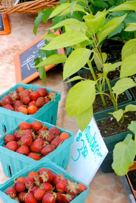 Govans Farmers' Market by null