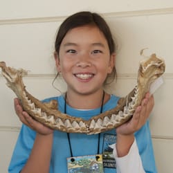 Environmental Volunteers' EcoCenter