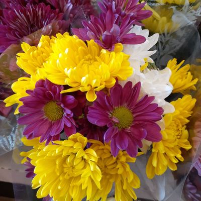 CVS PHARMACY - Updated December 2025 - 34 Photos & 53 Reviews - 3020 ...