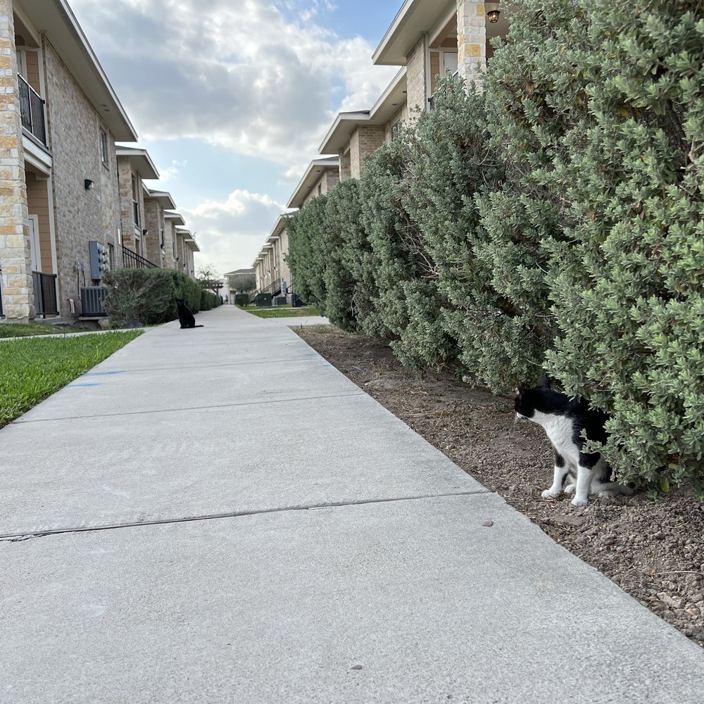 Villa Regale - Apartments Near Me - McAllen, Texas Villa Regale - Apartments Near Me - McAllen, Texas
