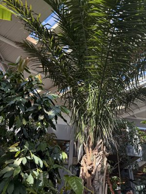 Como Park Zoo & Conservatory by null