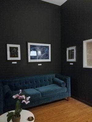 Field Colony by null