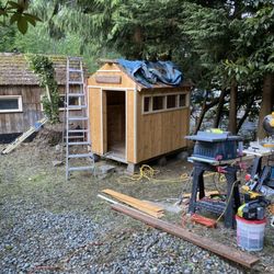 HandiGirl Home Improvements - Shed getting a makeover!