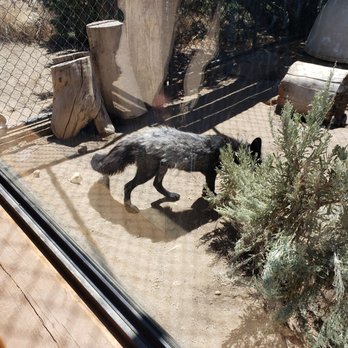 Animal Ark - Zoos Near Me - Reno, Nevada