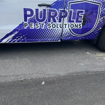 Purple Pest Solutions - Purple Pest Solutions - Pest Control Near Me - Henderson, Nevada Purple Pest Solutions - Purple Pest Solutions - Pest Control Near Me - Henderson, Nevada