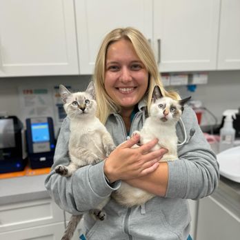 Marsh Tide Veterinary Hospital - Check out these feline Siamese sisters! They came in for wellness exams and vaccinations. - Veterinarians Near Me - Mount Pleasant, South Carolina Marsh Tide Veterinary Hospital - Check out these feline Siamese sisters! They came in for wellness exams and vaccinations. - Veterinarians Near Me - Mount Pleasant, South Carolina