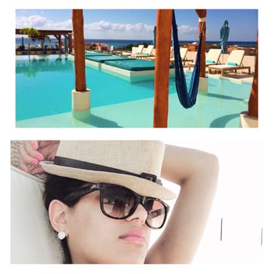 The Palm at Playa by null