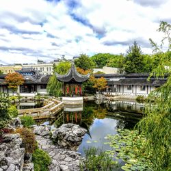 Dunedin Chinese Garden - Dunedin Chinese Garden