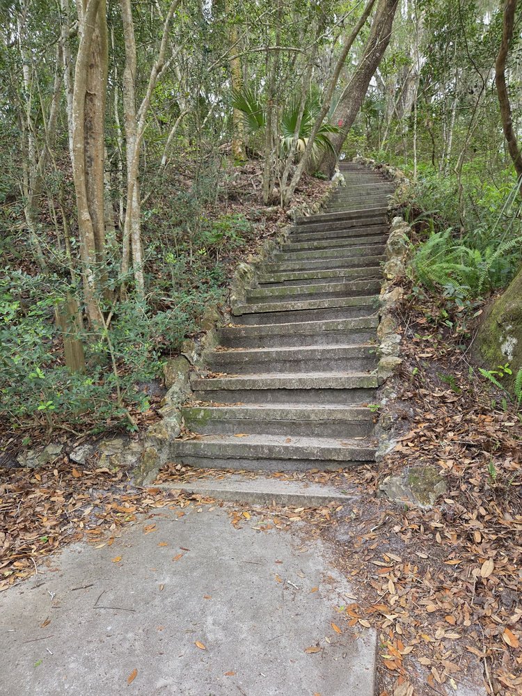 Ravine Gardens State Park Image