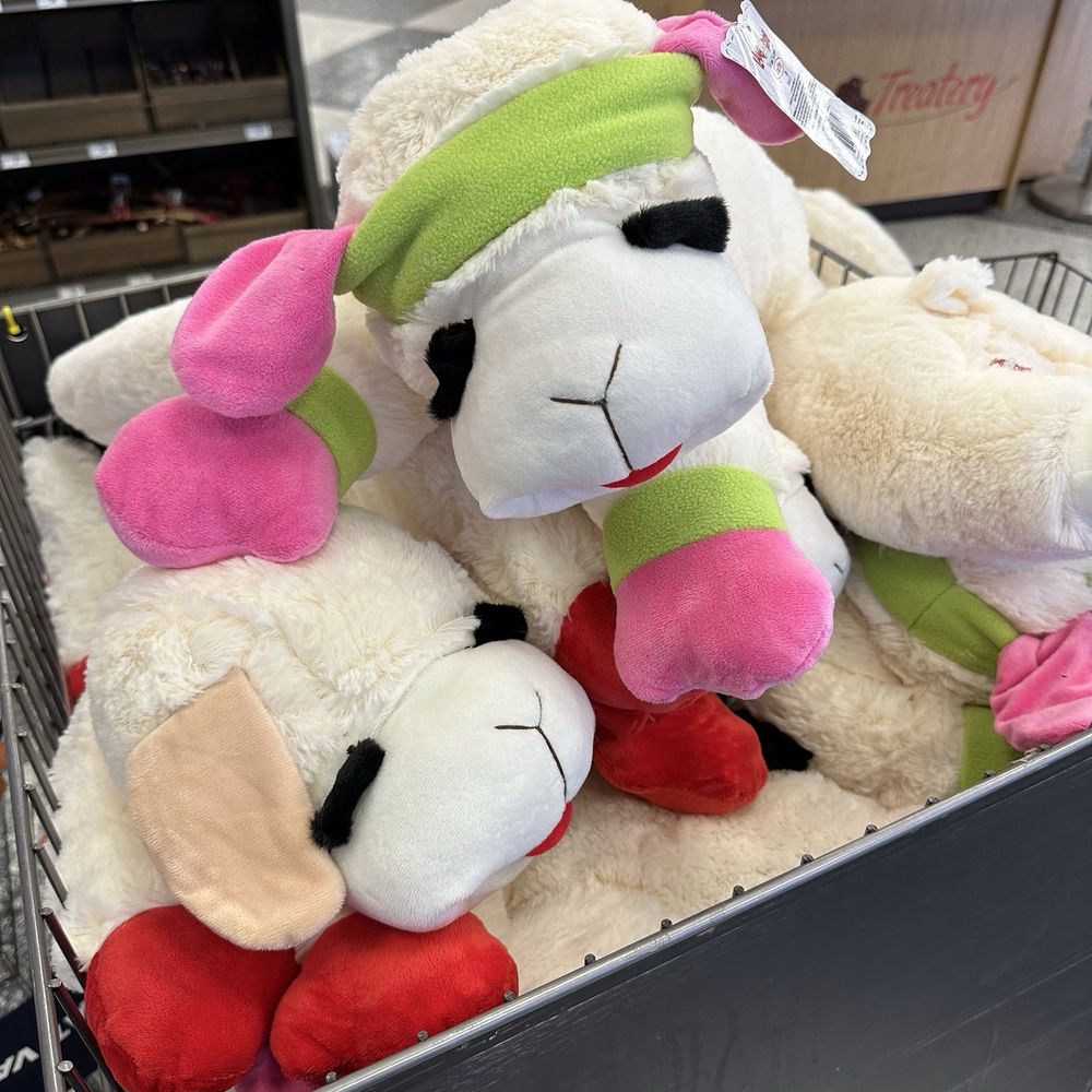 Petco - Pet Stores Near Me - Burbank, California Petco - Pet Stores Near Me - Burbank, California