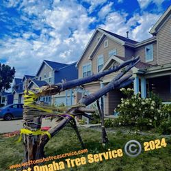 West Omaha Tree Service - Split Maple Tree Removal during the 2024 season. WEST OMAHA TREE SERVICE © 2024.