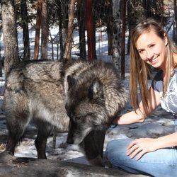 Structural Zen Massage Therapy - Jessica Fairless hanging out with the wolves at Colorado Wolf and Wildlife Center in Divide, Colorado