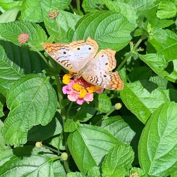 Peck Farm Park - Parks Near Me - Geneva, Illinois