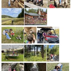 K-Diamond K Ranch - Grooming horses, saddling-up, feeding miniature pigs, milking cow, rounding up horses on ATV, trampoline, fishing at Swan Lake, gold mine