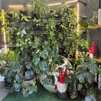 Monstera Boba Cafe - Bubble Tea Near Me - Tujunga, California Monstera Boba Cafe - Bubble Tea Near Me - Tujunga, California