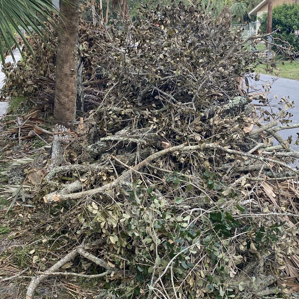 Edward's Tree Service - All the smaller debris neatly piled for pick-up. - Tree Services Near Me - Sarasota, Florida Edward's Tree Service - All the smaller debris neatly piled for pick-up. - Tree Services Near Me - Sarasota, Florida