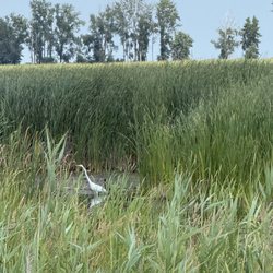 Nayanquing Point State Wildlife Area