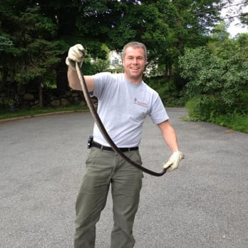 QualityPro Pest & Wildlife Services - Jim Horton on A Emergency Black Rat Snake Removal from a Home in Yorktown, NY - Pest Control Near Me - Hawthorne, New York QualityPro Pest & Wildlife Services - Jim Horton on A Emergency Black Rat Snake Removal from a Home in Yorktown, NY - Pest Control Near Me - Hawthorne, New York