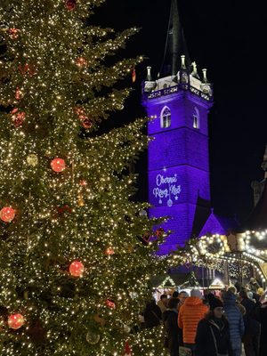 La Halle aux Blés by null