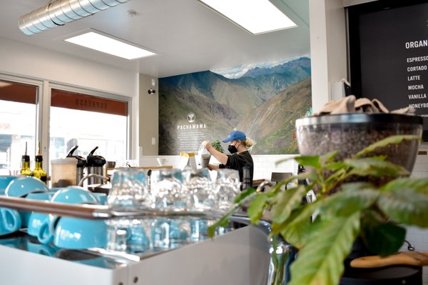 Pachamama Coffee by null