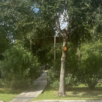 Pine Street Cafe at Silver Sycamore - Scenery - American Near Me - Pasadena, Texas Pine Street Cafe at Silver Sycamore - Scenery - American Near Me - Pasadena, Texas