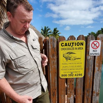 Fish Camp - Crocodiles you say? How badly could this turn out? - New American Near Me - Key West, Florida