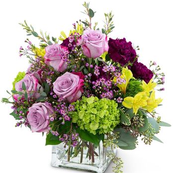 Cabinet Mountain Floral - $50.00 pink roses, hydrangea, yellow and fushia - Florists Near Me - Libby, Montana Cabinet Mountain Floral - $50.00 pink roses, hydrangea, yellow and fushia - Florists Near Me - Libby, Montana