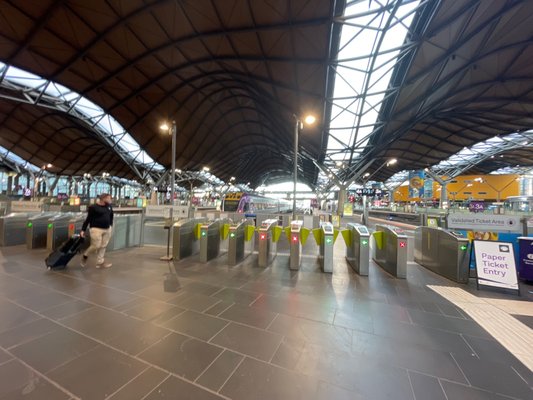 Southern Cross by null