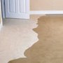 Photo of Precision Carpet & Upholstery Cleaning