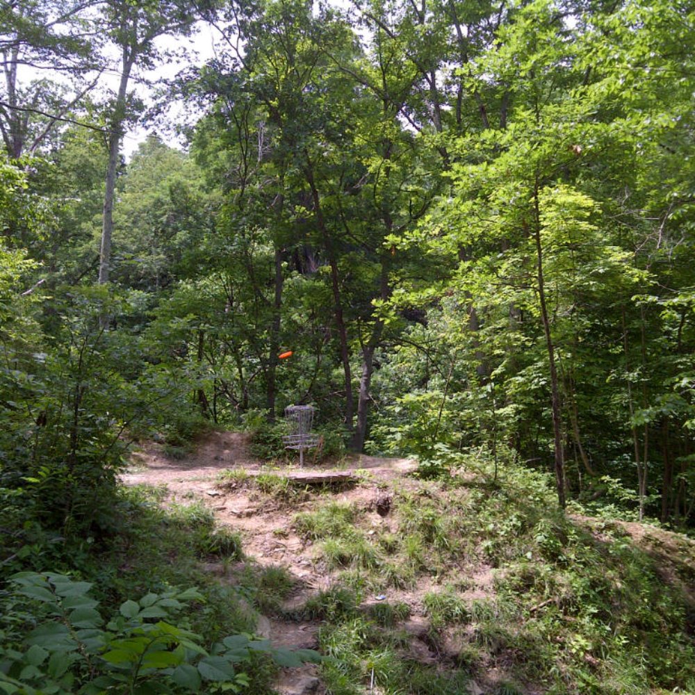 Lincoln Ridge Park - Disc Golf Hole on the Back 9 - Hiking Near Me - Independence, Kentucky Lincoln Ridge Park - Disc Golf Hole on the Back 9 - Hiking Near Me - Independence, Kentucky