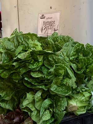 Phillips Farms Market by null