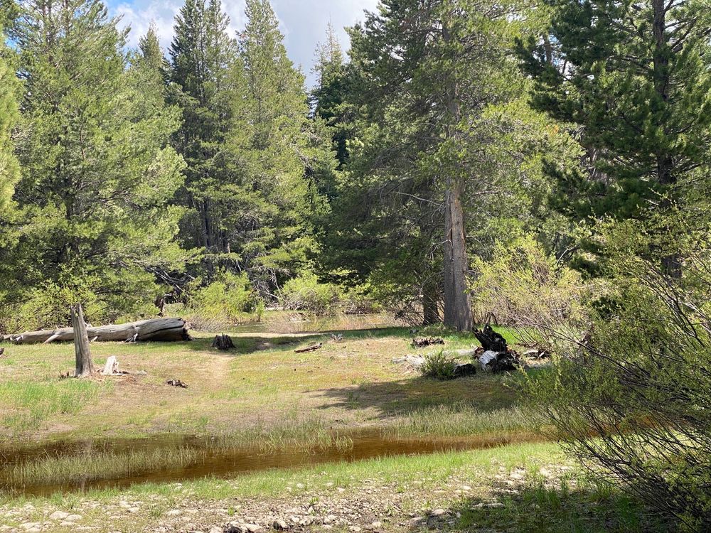 WASHOE MEADOWS STATE PARK Updated September 2024 Sawmill Rd At Lake