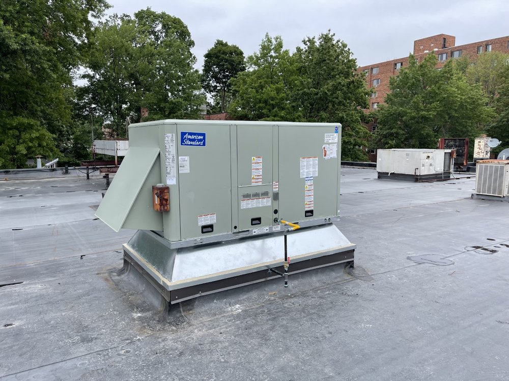 Slide of Call The Bee