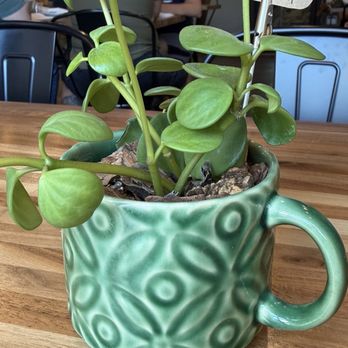 Loveland Coffee - Coffee & Tea Near Me - Irmo, South Carolina Loveland Coffee - Coffee & Tea Near Me - Irmo, South Carolina