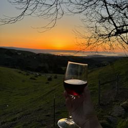 Big Dog Vineyards - Pinot Noir