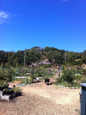Indian Valley Campus Organic Farm and Garden by null