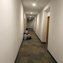 Disgusting smell from fermenting carpets...not from piled up trash ironically. Disgusting smell from fermenting carpets...not from piled up trash ironically.