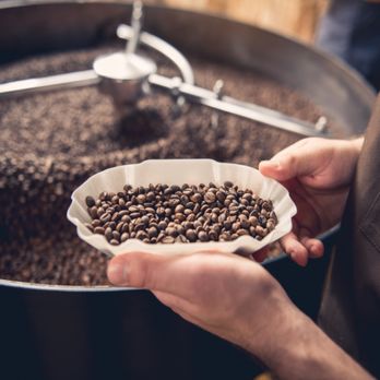 Blind Dog Coffee Roastery - a person holding a bowl of coffee beans - Coffee Roasteries Near Me - Gardnerville, Nevada