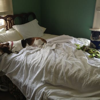 Kings Courtyard Inn - Pet friendly! - Hotels Near Me - Charleston, South Carolina