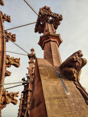 Frankfurt Cathedral by null