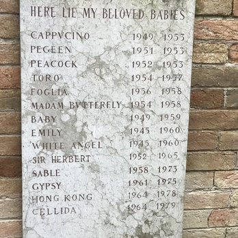 Peggy Guggenheim Collection - Museums Near Me - Venezia, VE