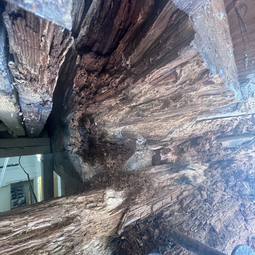 Foundation Repair LA - Rotted wood - Foundation Repair Near Me - Los Angeles, California Foundation Repair LA - Rotted wood - Foundation Repair Near Me - Los Angeles, California